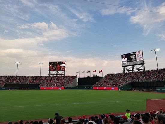 Stadium Alfredo Harp Helu
